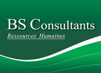 BS Consultants