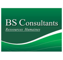 Logo BS Consultants